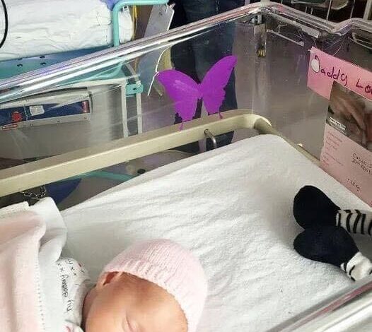 If You See A Purple Butterfly Sticker Near A Newborn, Here’s What It Means