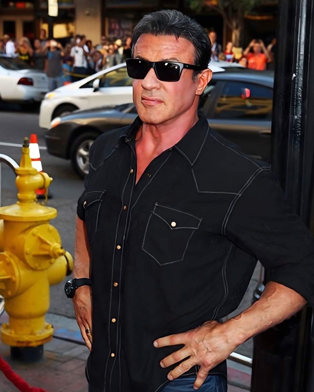 Sylvester Stallone