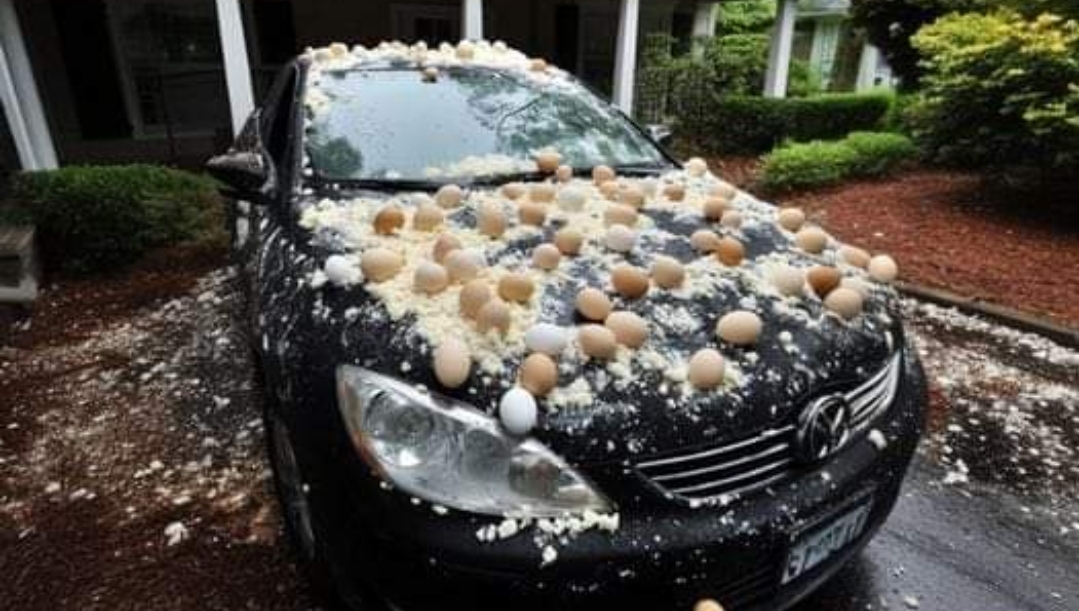 My Neighbor Threw Eggs at My Car Because It Was ‘Blocking the View’ of His Halloween Decorations