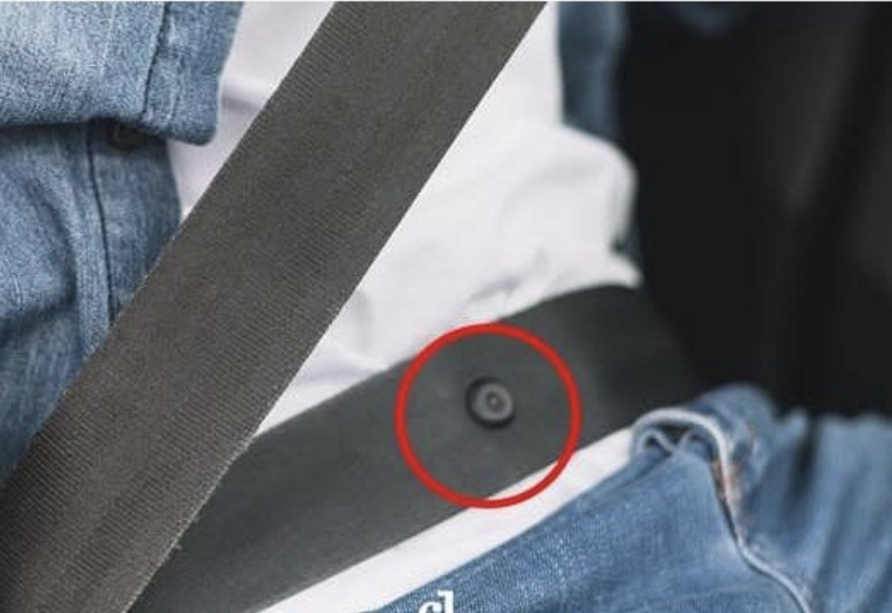 Do You Know What That Little Button on Your Seat Belt Is For?