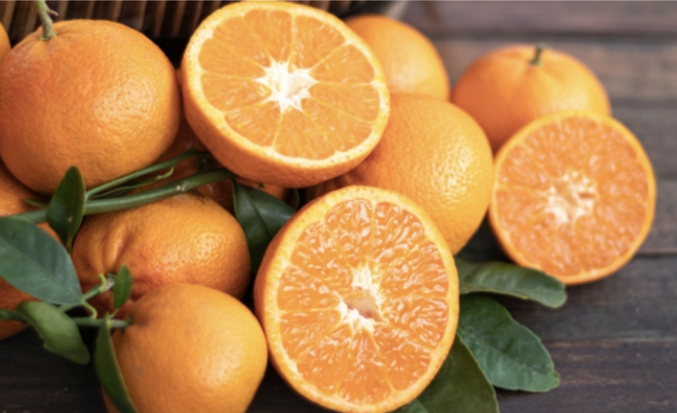 Oranges with “big navel” and “small navel” are different