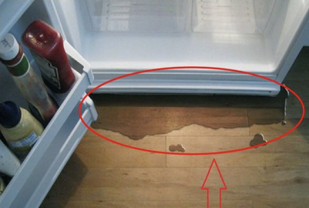 Refrigerator Leaking Water and Not Cooling Properly: Causes and Solutions