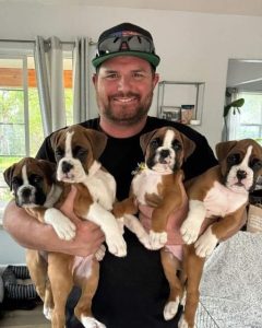On the side of te road I discovered four boxer puppies and one of them had a collar that completely changed the situation