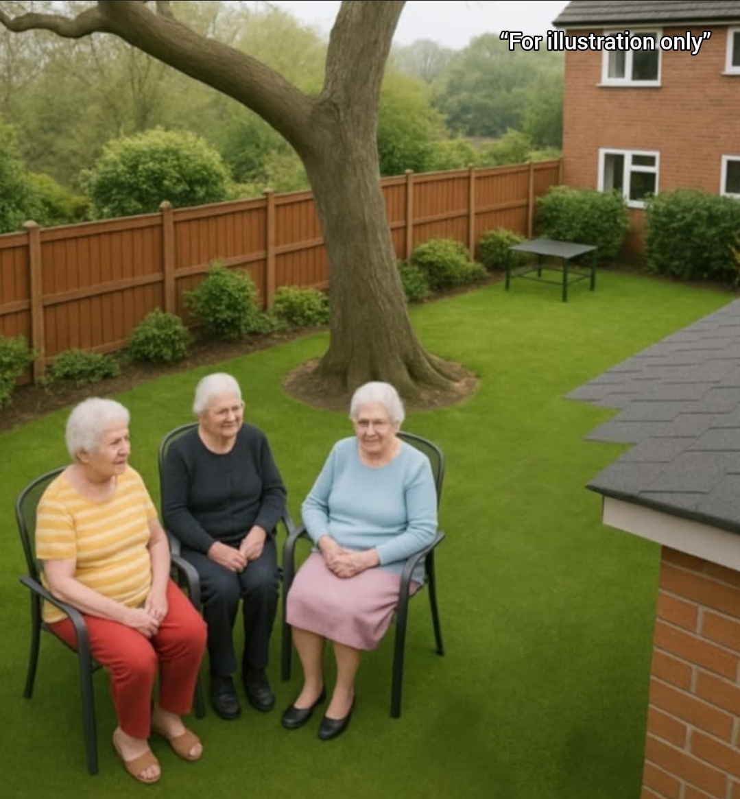 They Thought It Was Just Another Windy Afternoon… Until the Tree Gave Way