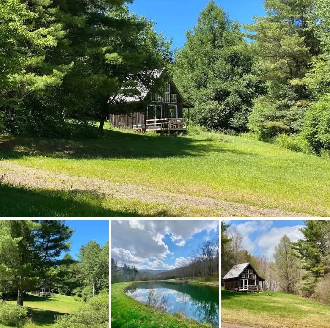 Dream Retreat with Tiny House, Campsites, Pond & Mountain Views