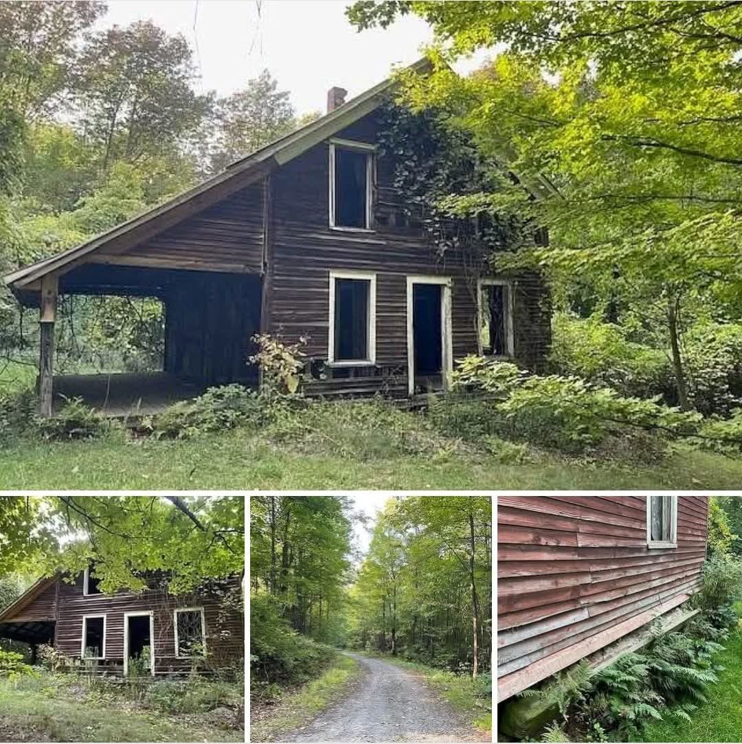 A Rare Find in the Adirondacks