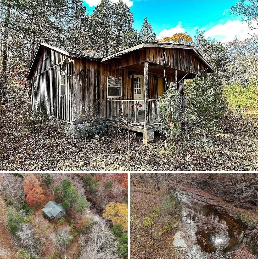 Creekside Cabin