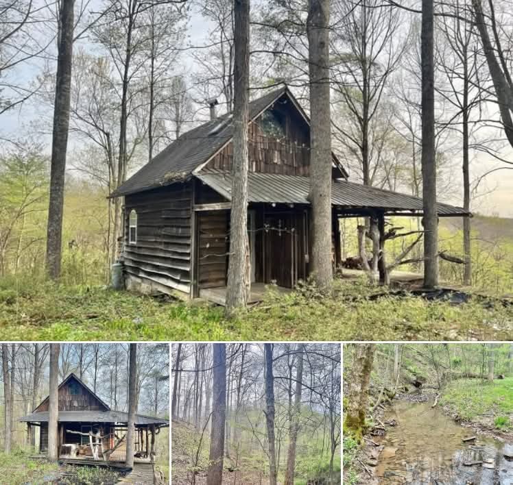 250 Acres of Wooded Land with Primitive Cabin— A Rare Opportunity for Outdoor Living, Hunting, and Investment
