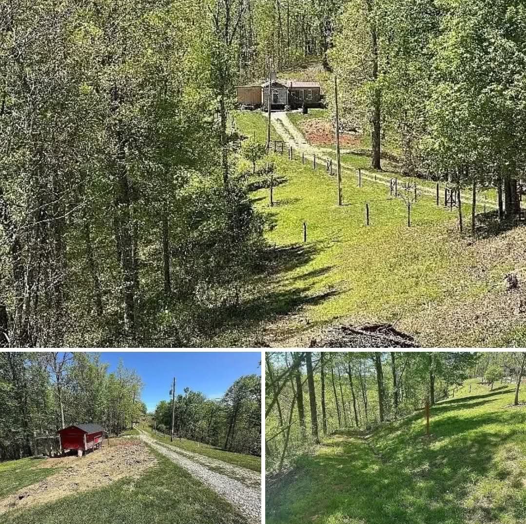 Peaceful Cabin Retreat on 5.22 Acres