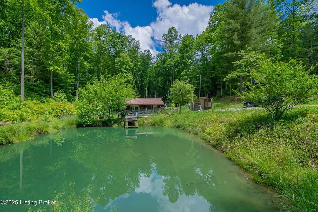 Amazing Cabin with 1.3 Acres