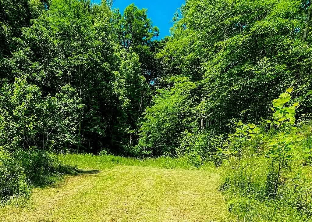 Land with 60 Acres, Breathtaking Views