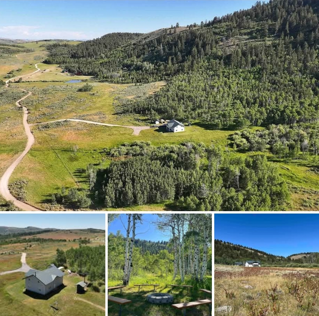 Cabin Home with 80 Acres