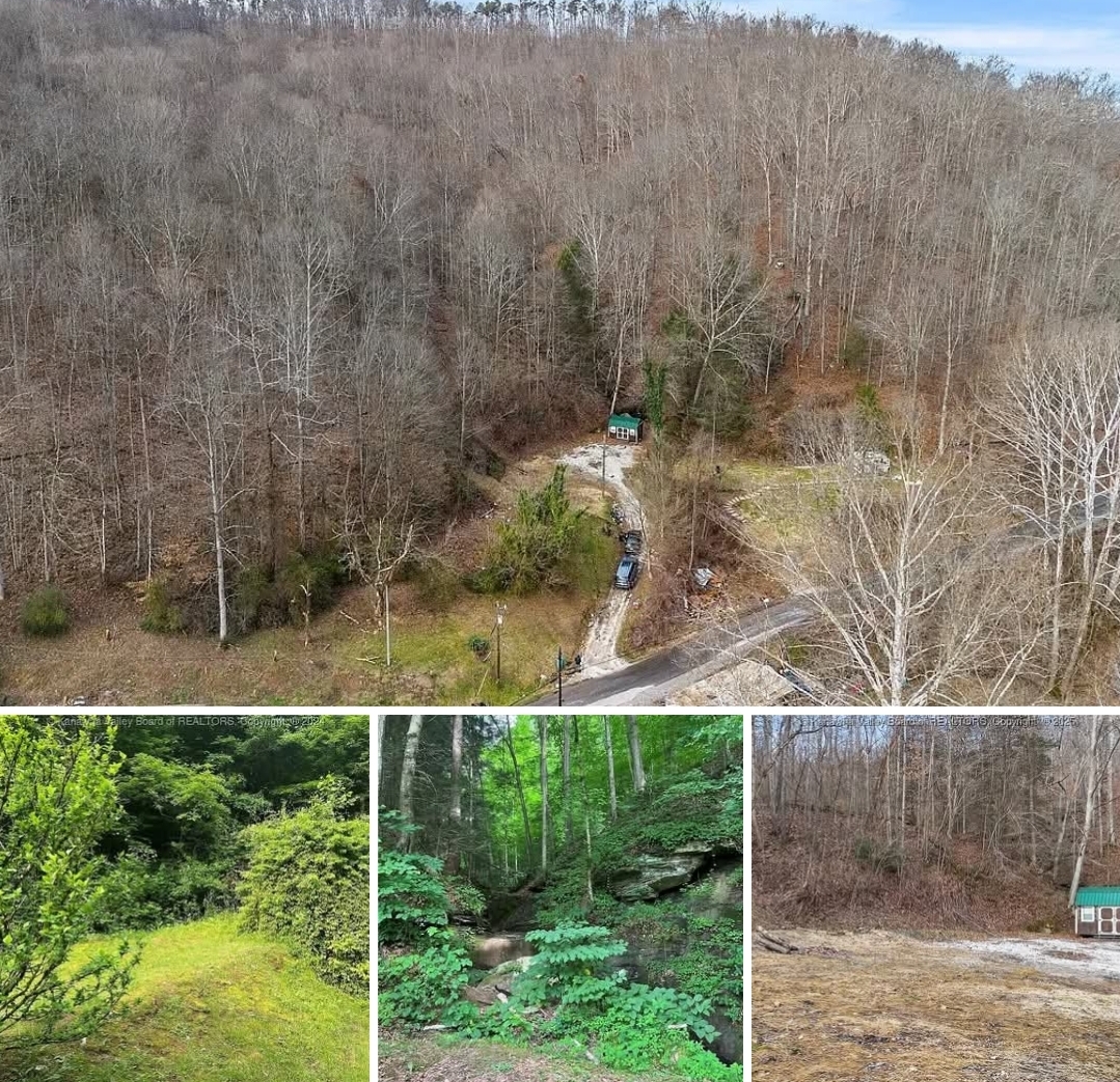 Cozy and Beautiful Cabin. 27 Acres