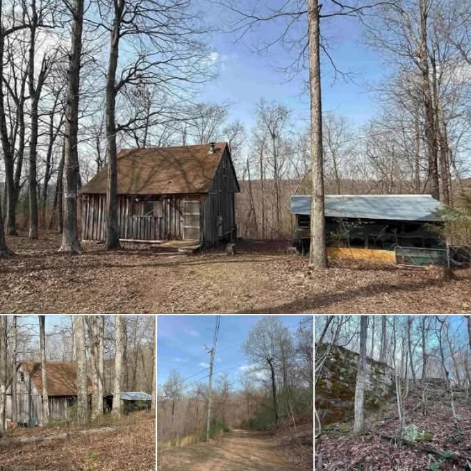 Cozy getaway on 19 secluded acres. Surrounded by nature!