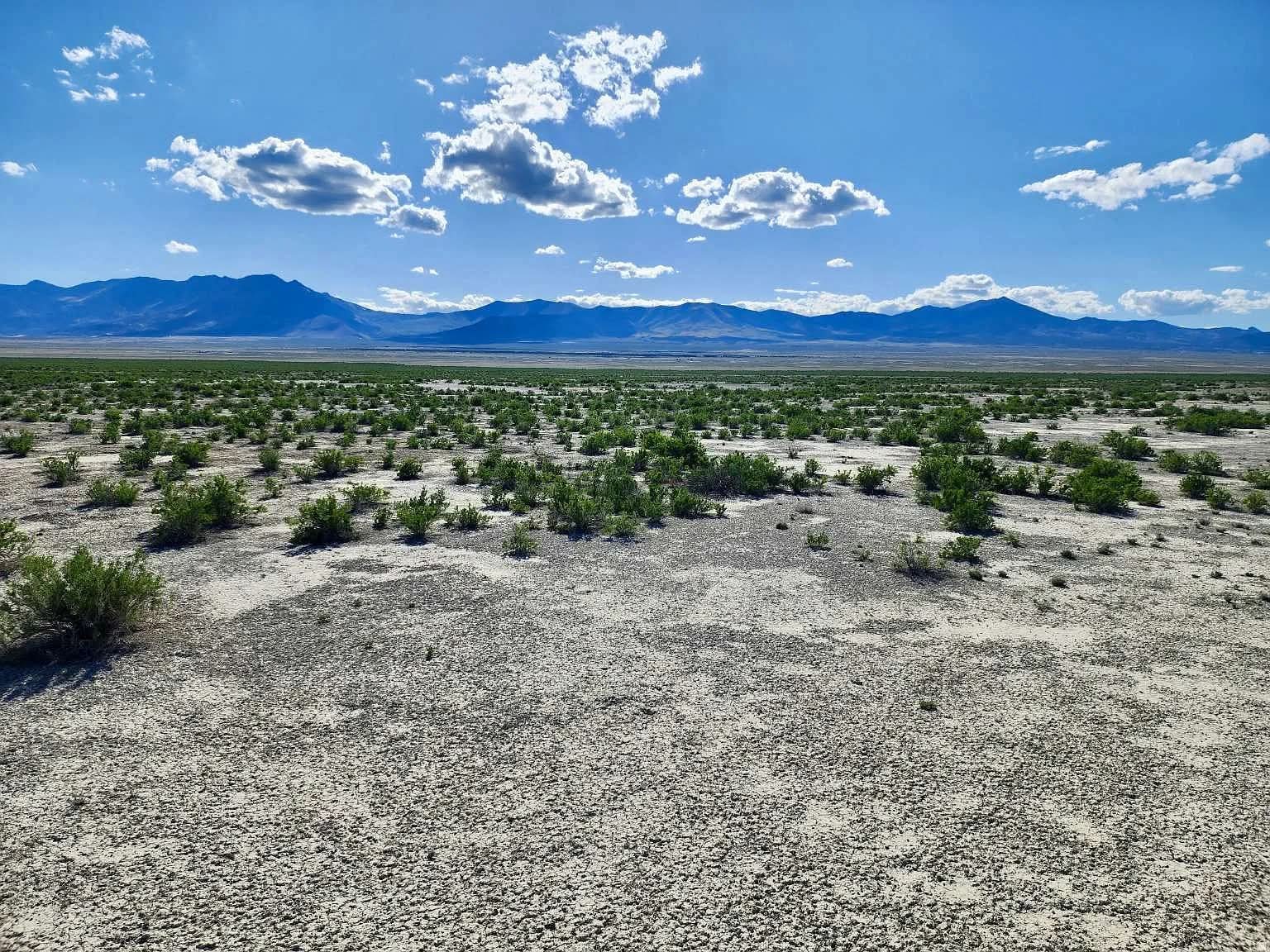 WOW, $44,997! 160 Acres. No Neighbors, No Noise!