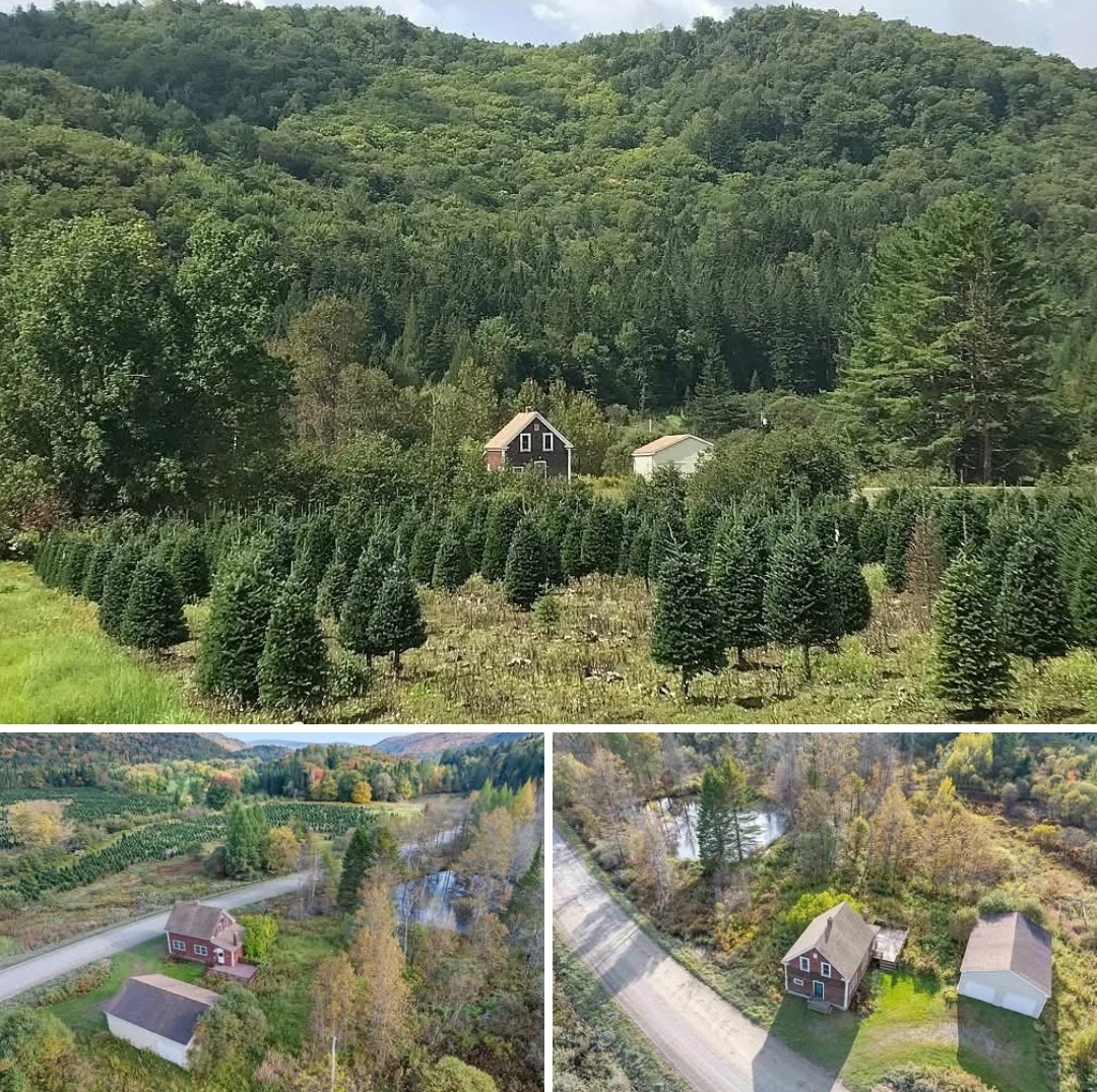245-Acre Mountain View Property with Pond and Stream