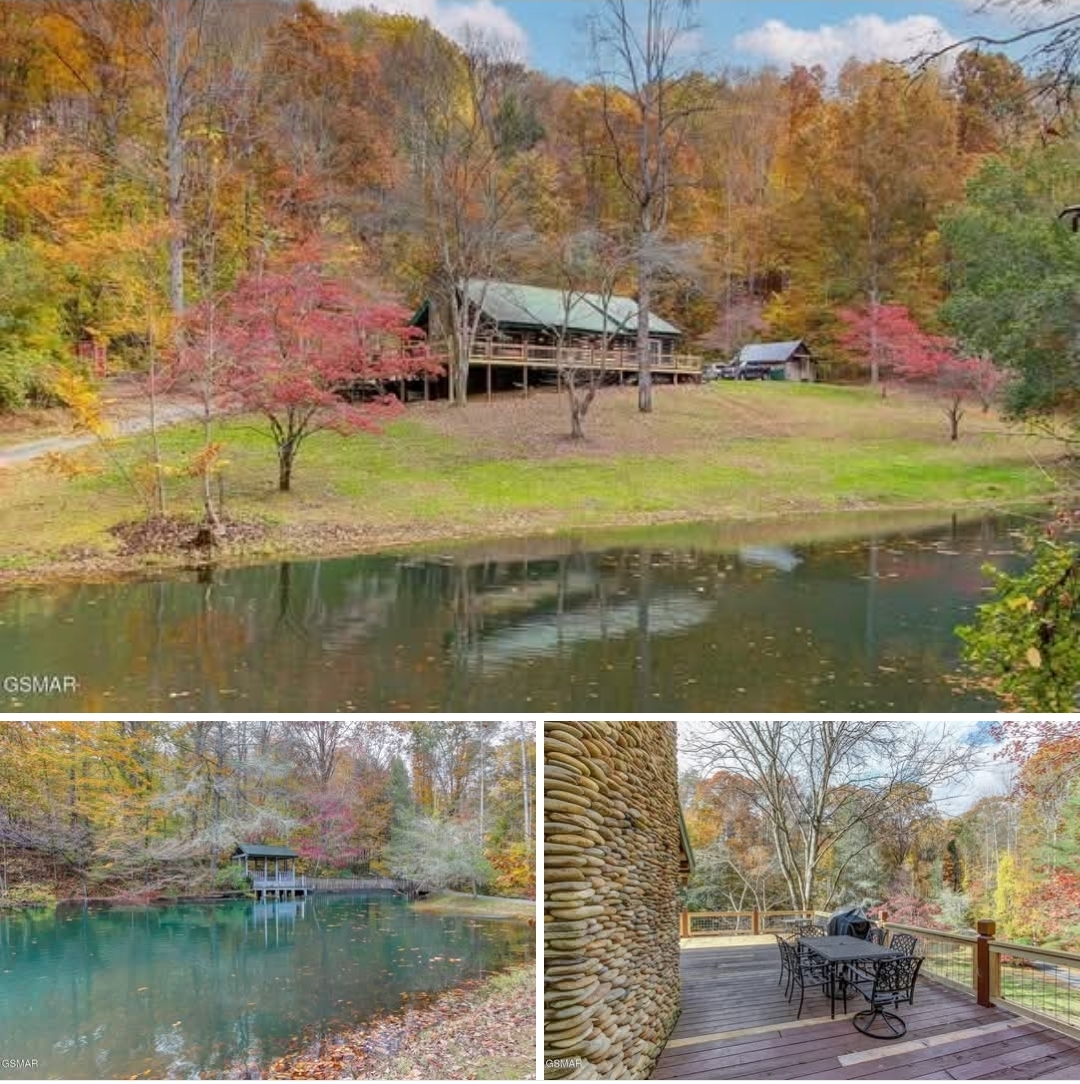 Gorgeous Mountain Retreat. Private Pond, Guest Cottage & So Much More. 11 Acres