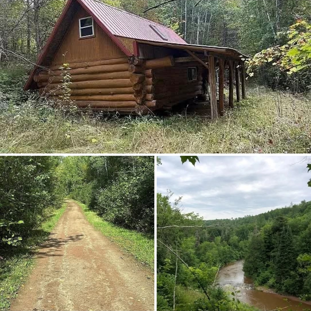 Attractive 103-Acre Retreat with a Log Cabin