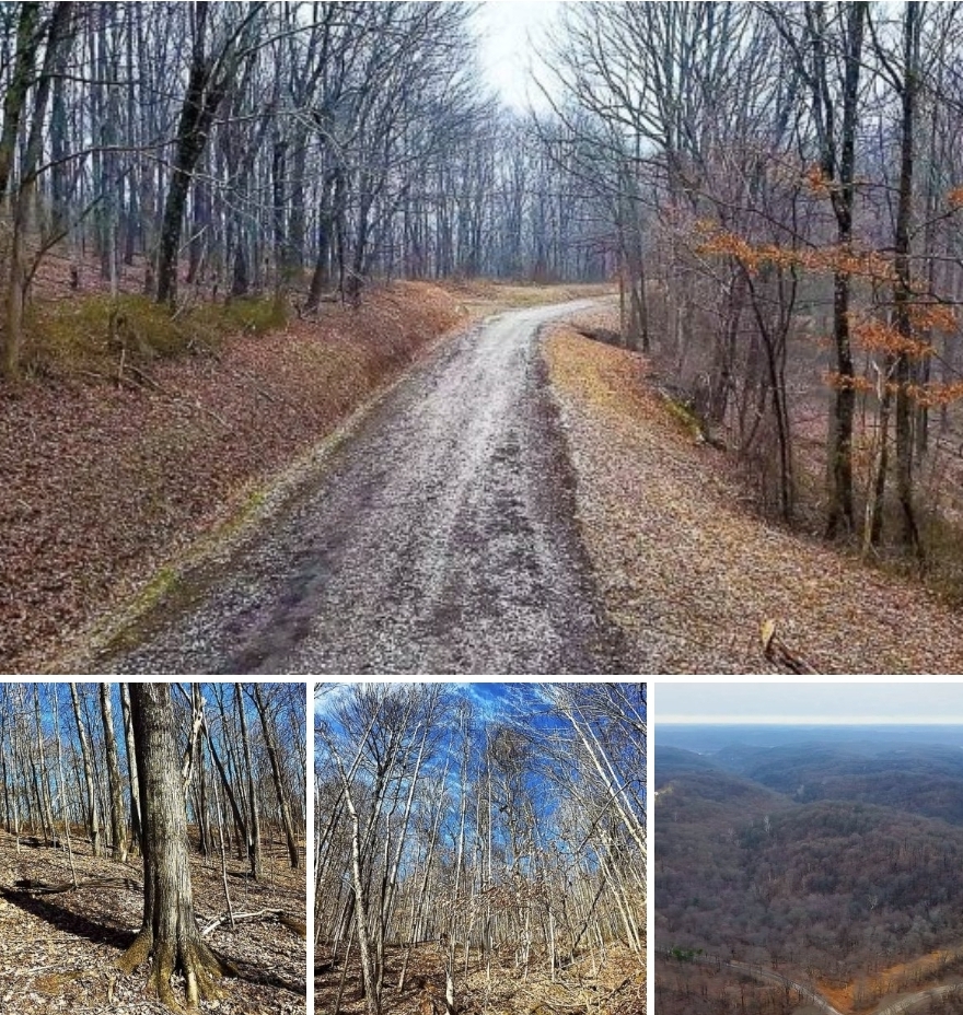 37 Acres Bordering Wayne National Forest – Rare Hunting & Investment Opportunity