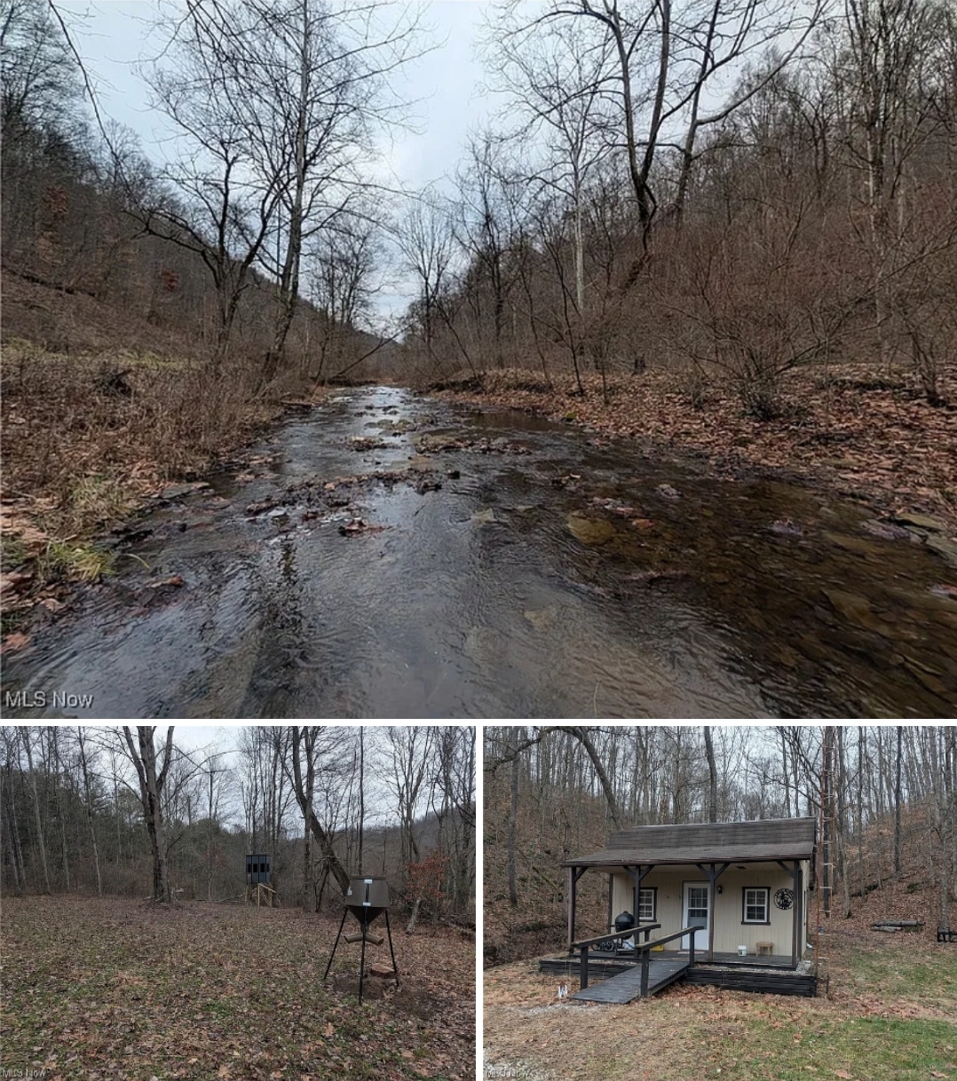 104.38 Acres of Wooded Hunting Land with Cabin and Creek