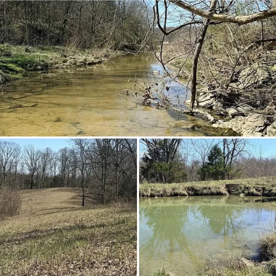 58 Acres of Mixed Woodland and Pasture – Unrestricted Land with Creek Bottom and Timber Potential