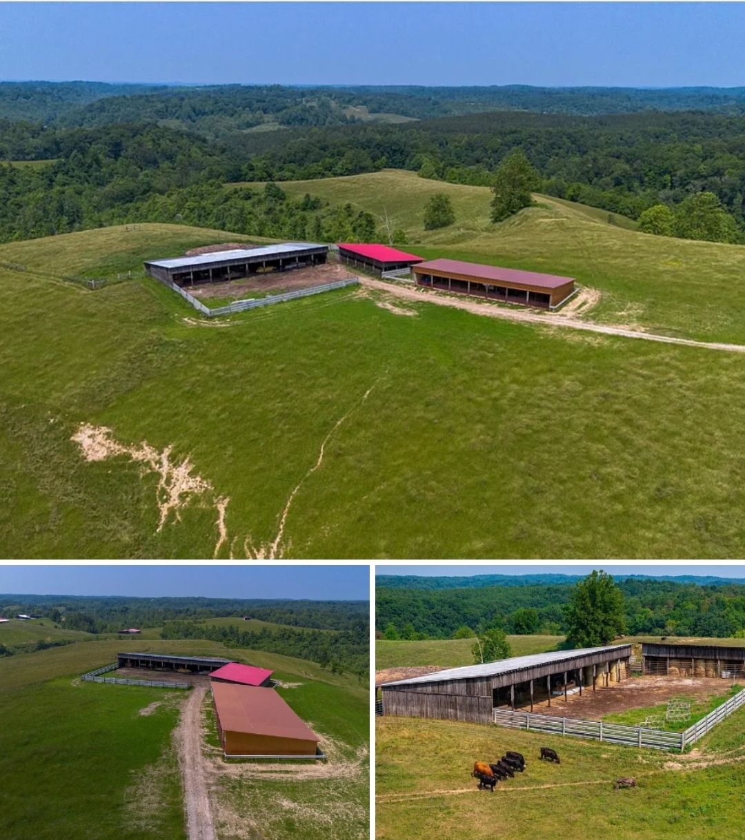 58 Acres Cattle Farm with Barns, Natural Springs, and Hunting Access – Versatile Agricultural Property