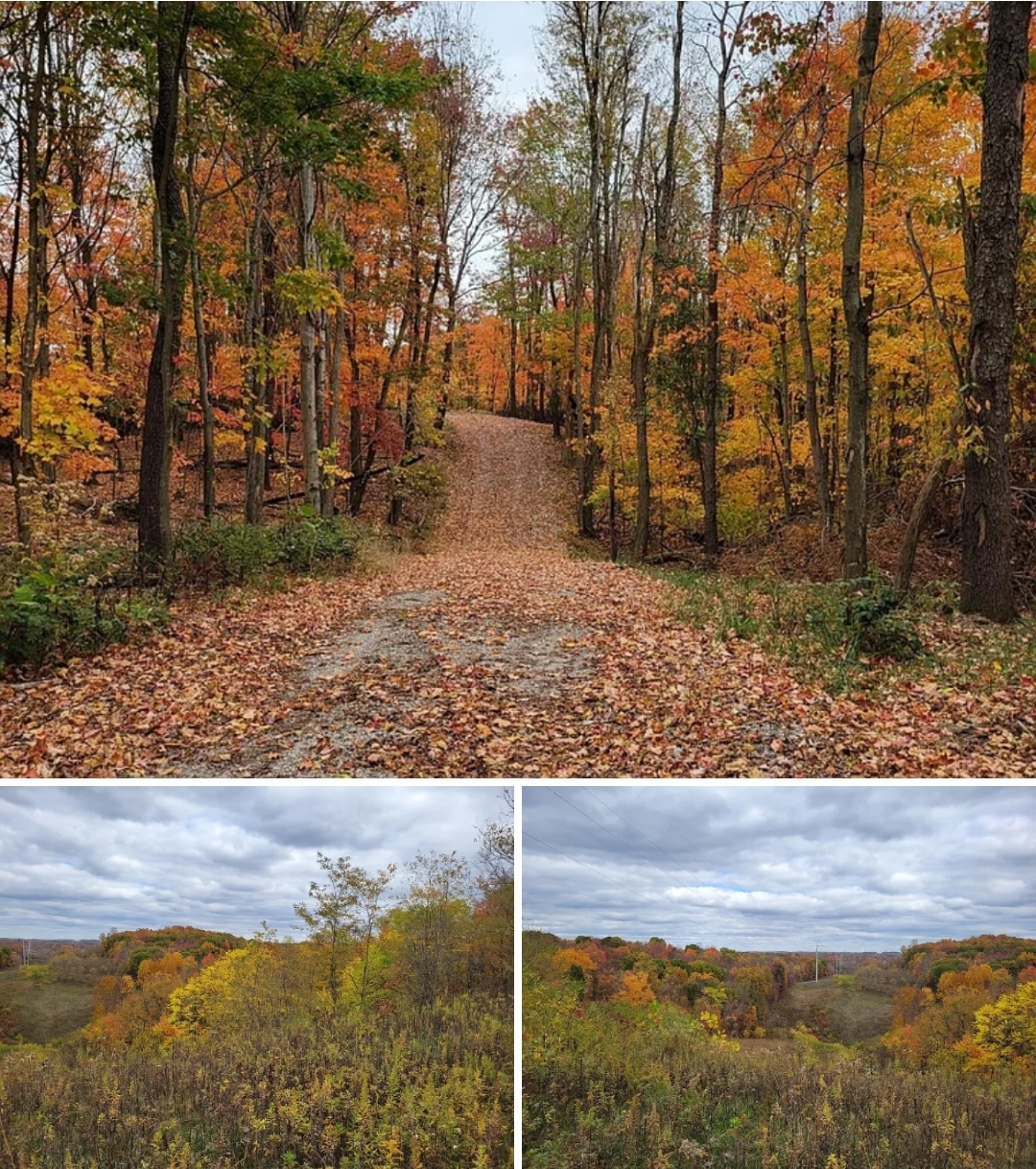 35.34 Acres of Scenic Rolling Land with Creek and Build Potential – Ideal for Your Dream Home
