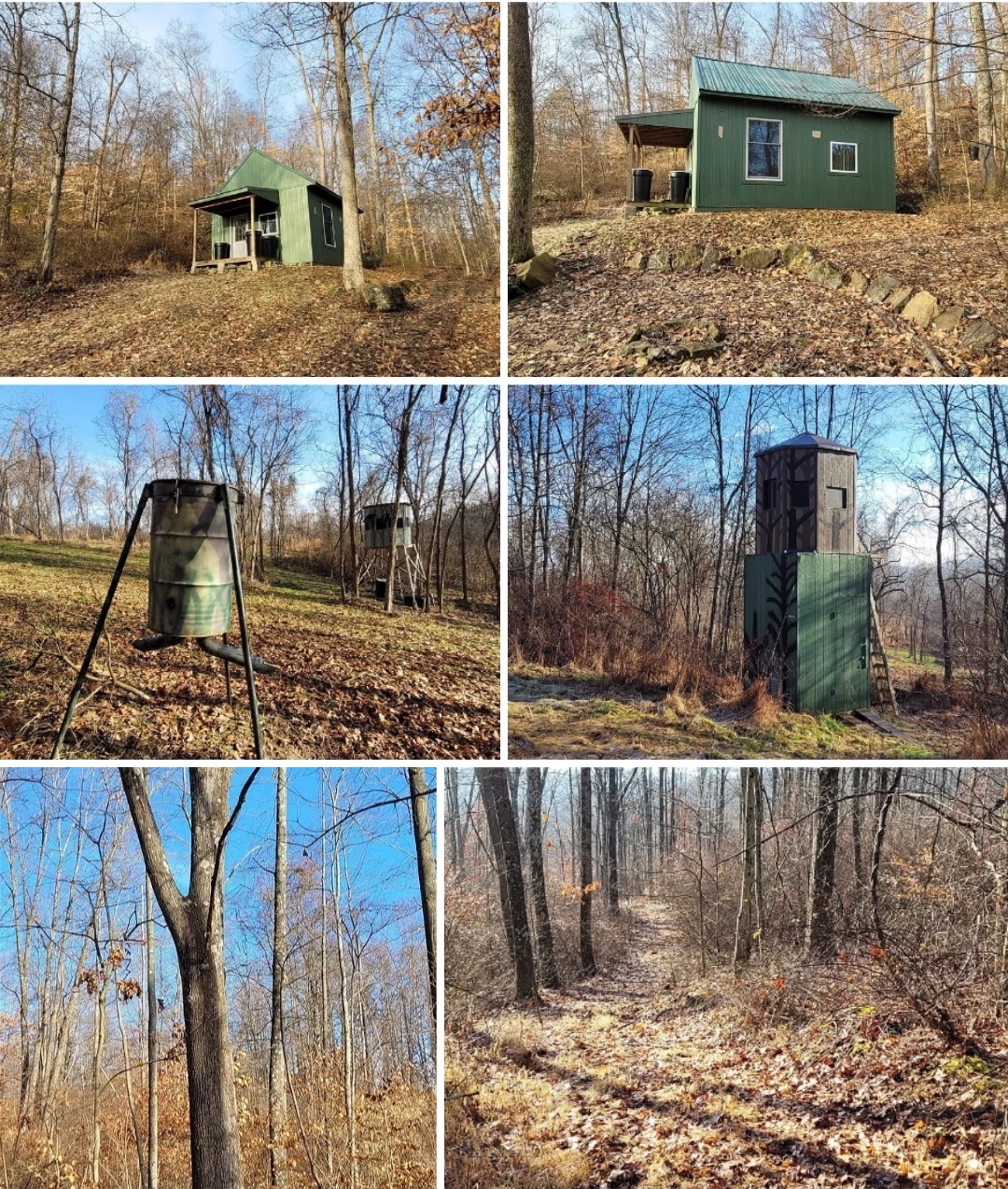 44.71 Acres Prime Hunting Land with Cabin, Food Plots, and Absolute Auction Opportunity