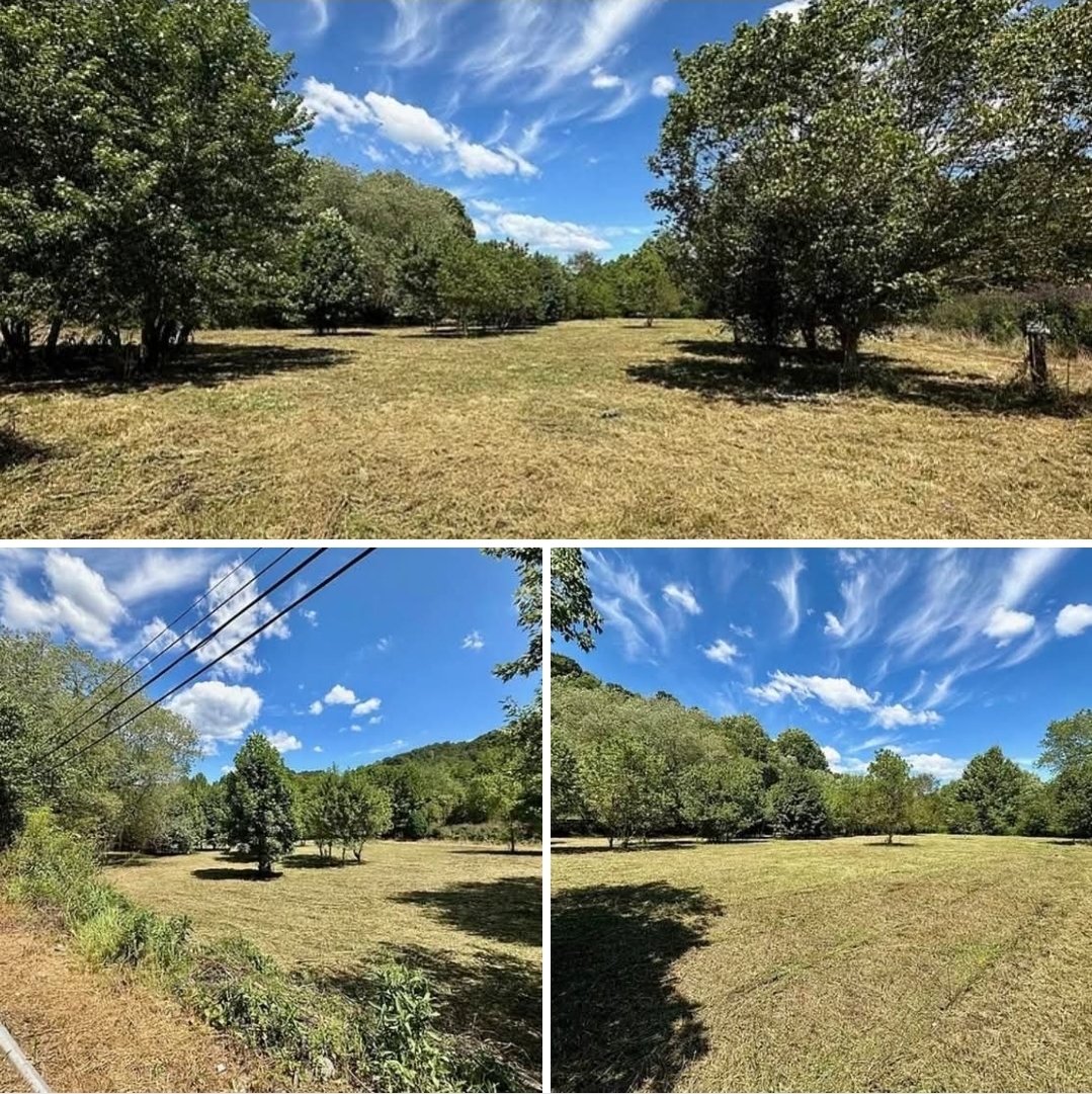 20.8 Acres of Affordable Land with Mixed Terrain and Development Potential