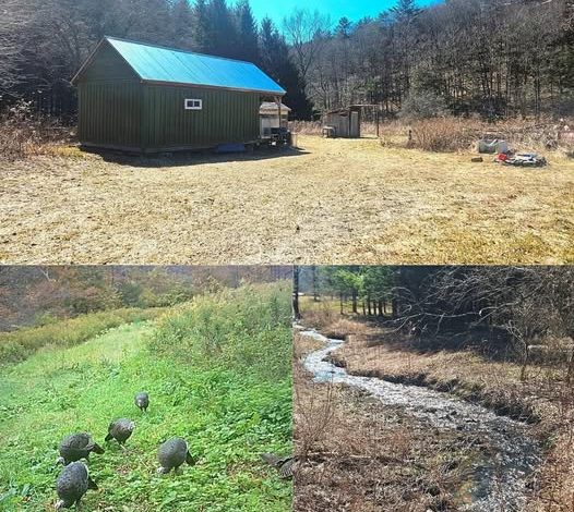 50-Acre Hunting Retreat with Rustic Cabin