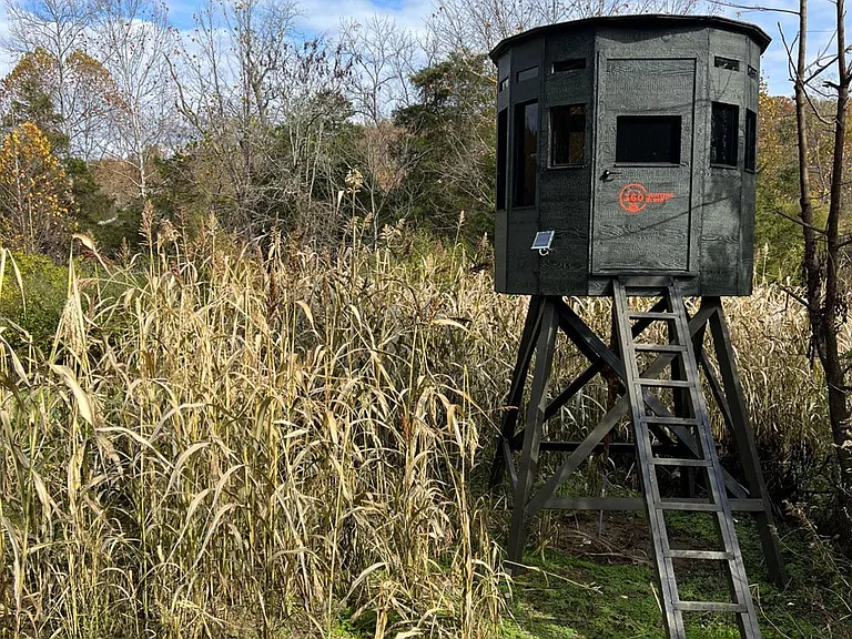 78.95-Acre Private Hunting & Recreational Land with Timber, Creek, Food Plots & Prime Build Site