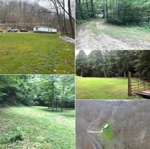 25-Acre Private Retreat with 3-Bedroom Home, Stream, Cleared Land & Wooded Hunting Paradise