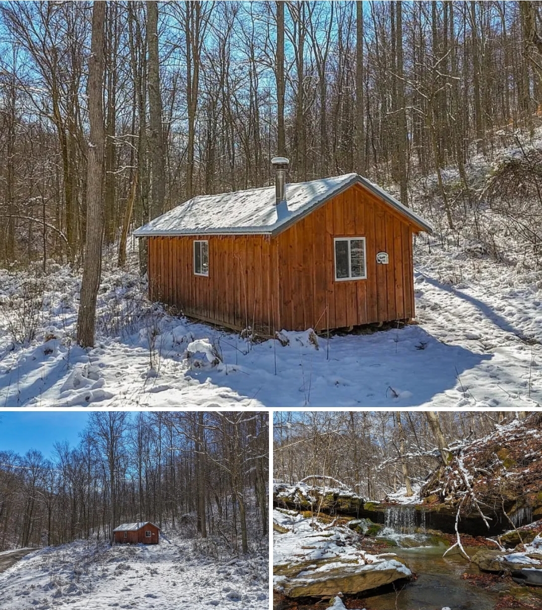80 Acres Bordering National Forest – Hunting Retreat with Off-Grid Cabin
