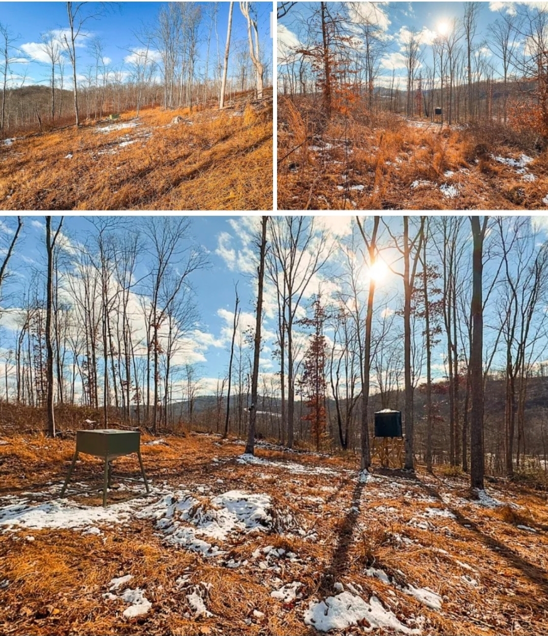 51 Acres Turn-Key Hunting Land with Hilltop Views & Recreational Potential