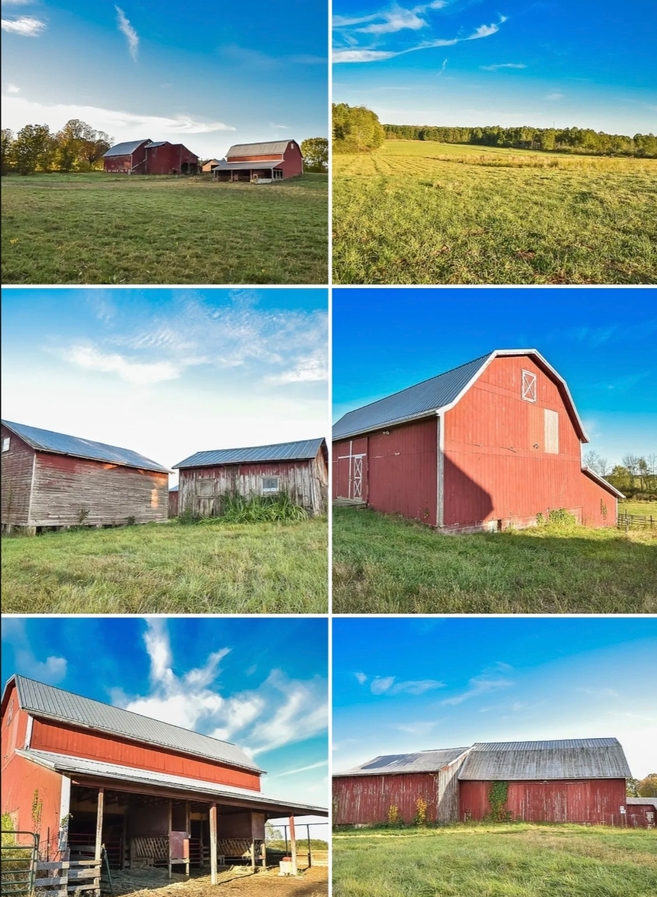 131.15 Acres Certified Organic Farm with Barns, Pasture & Conservation Protection