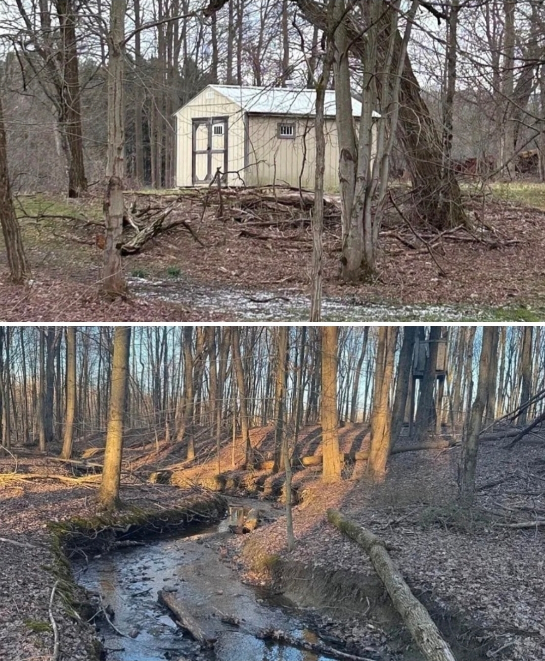 67.54 Acres Secluded Woodland Retreat with Creeks & Exceptional Hunting Potential