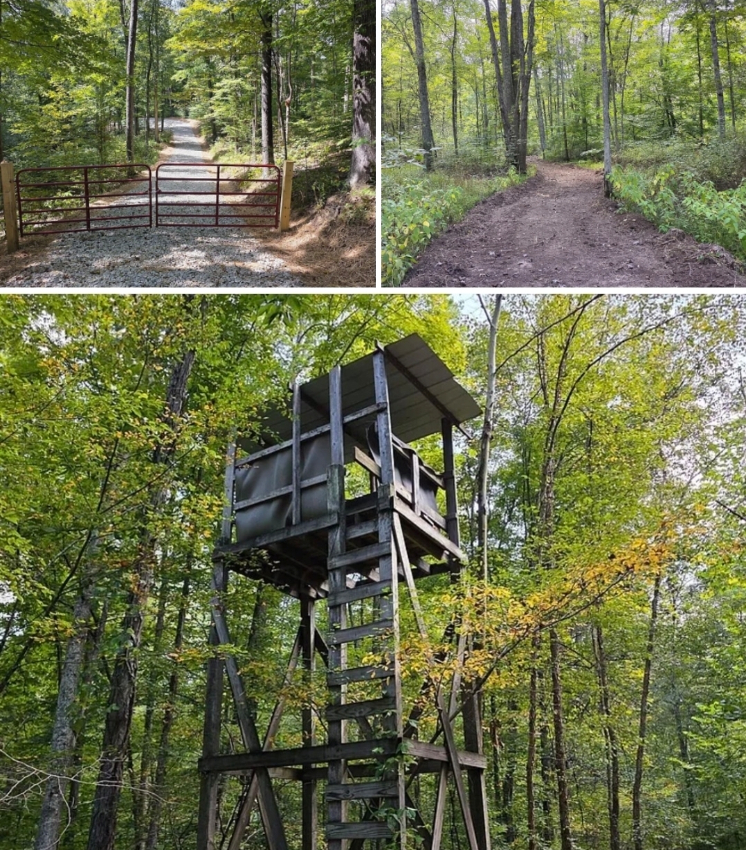 22.05 Acres Secluded Recreational Retreat with Creek, Trails & Prime Cabin Site