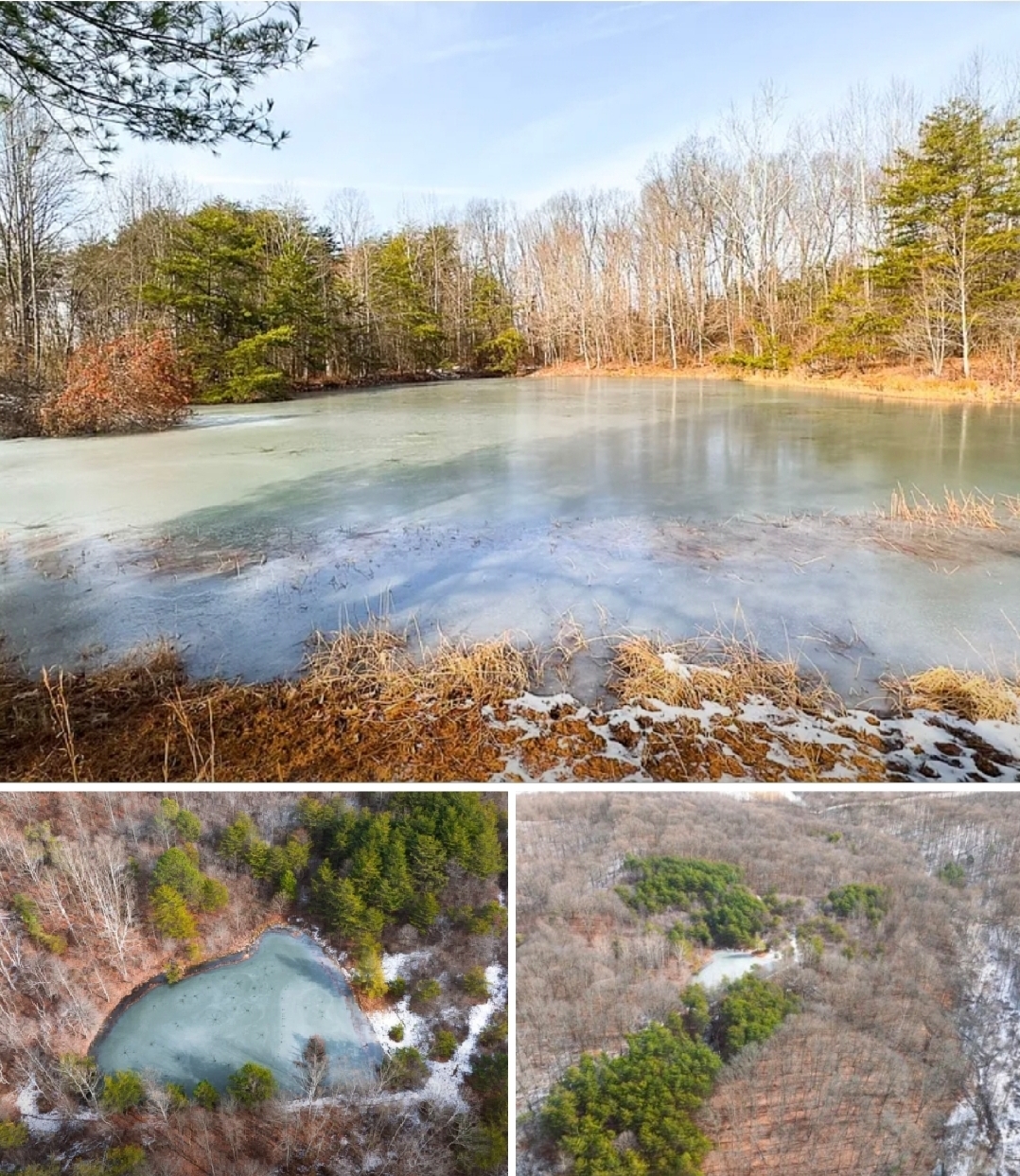 102 Acres Secluded Recreational Paradise with Pond, Mature Timber & Build Potential