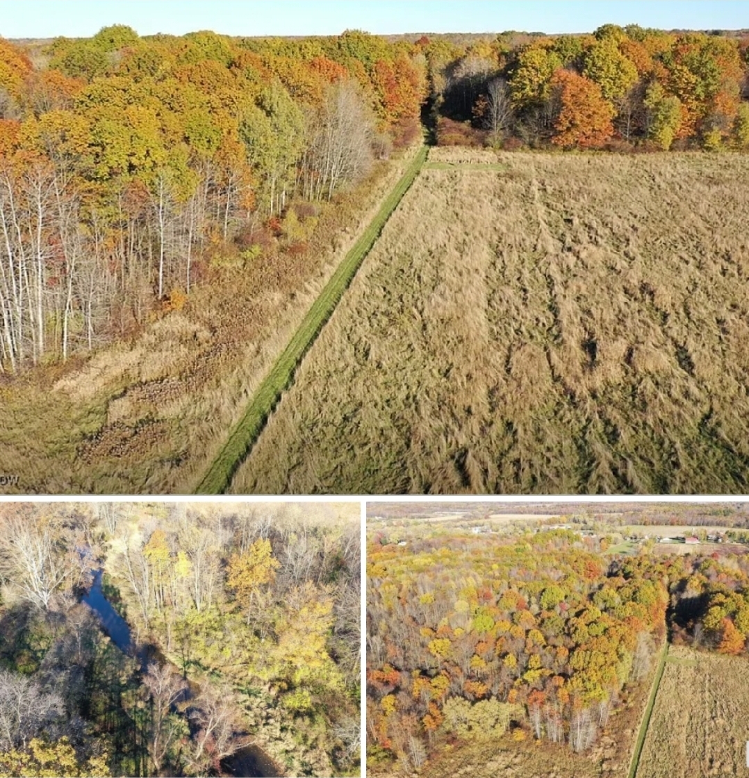 107.43 Acres Versatile Farm & Hunting Land with Creek, Timber & Open Fields