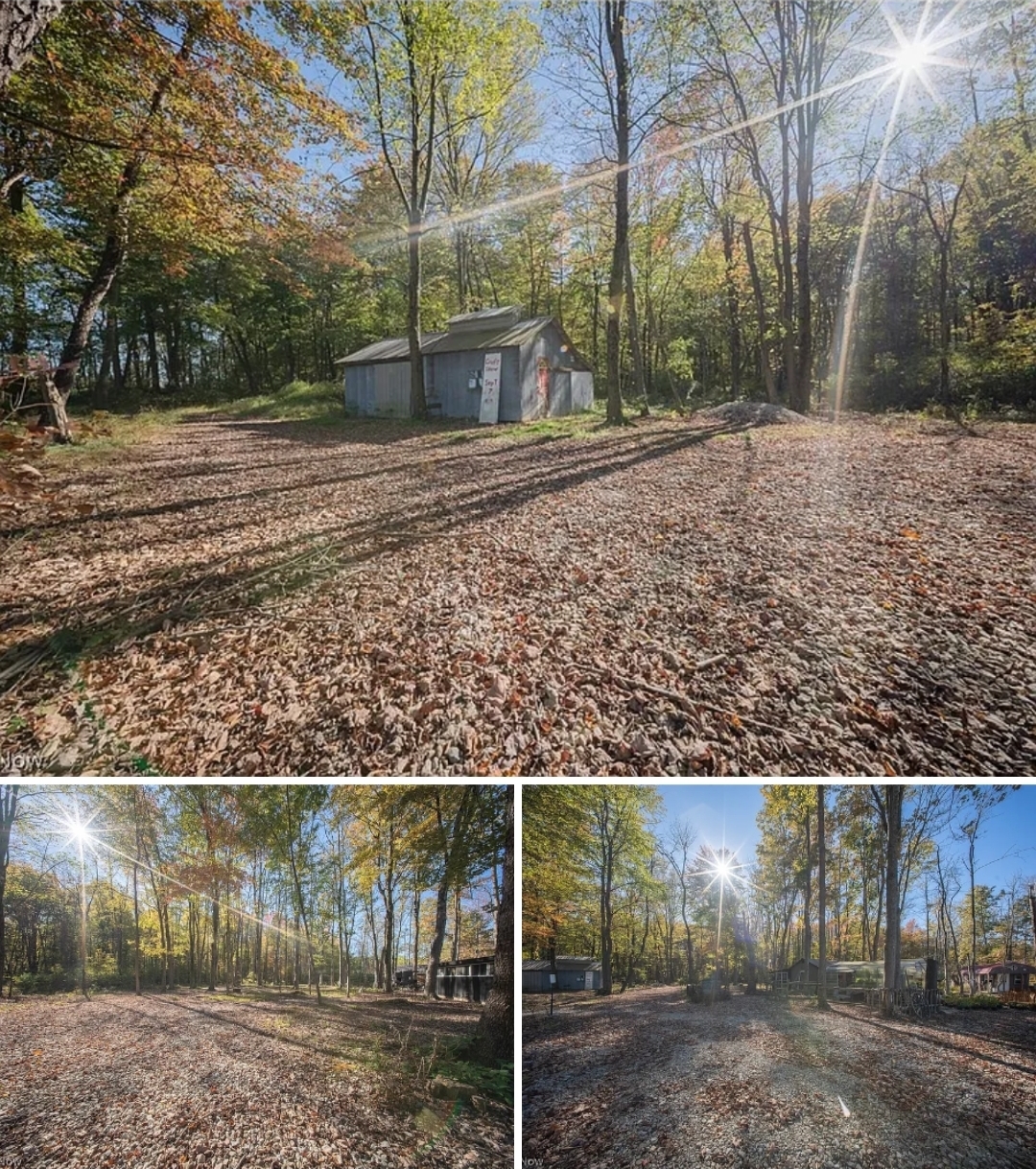 24.51 Acres Wooded Land with Historic Roots, Open Potential & Private Rural Setting