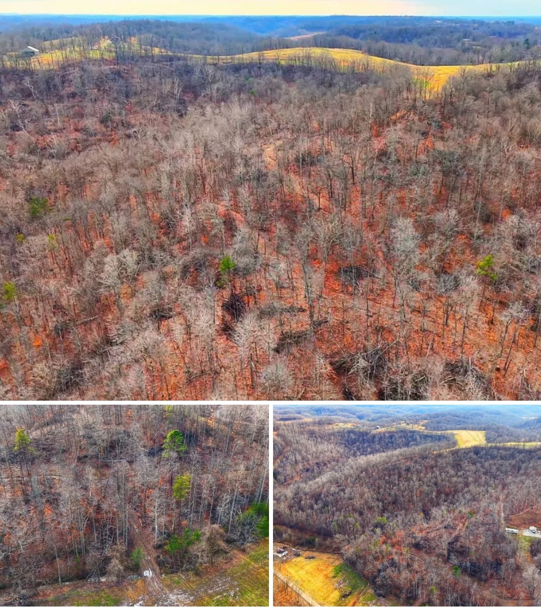 66 Acres Premier Recreational Land with Trails, Timber Potential & Water Source