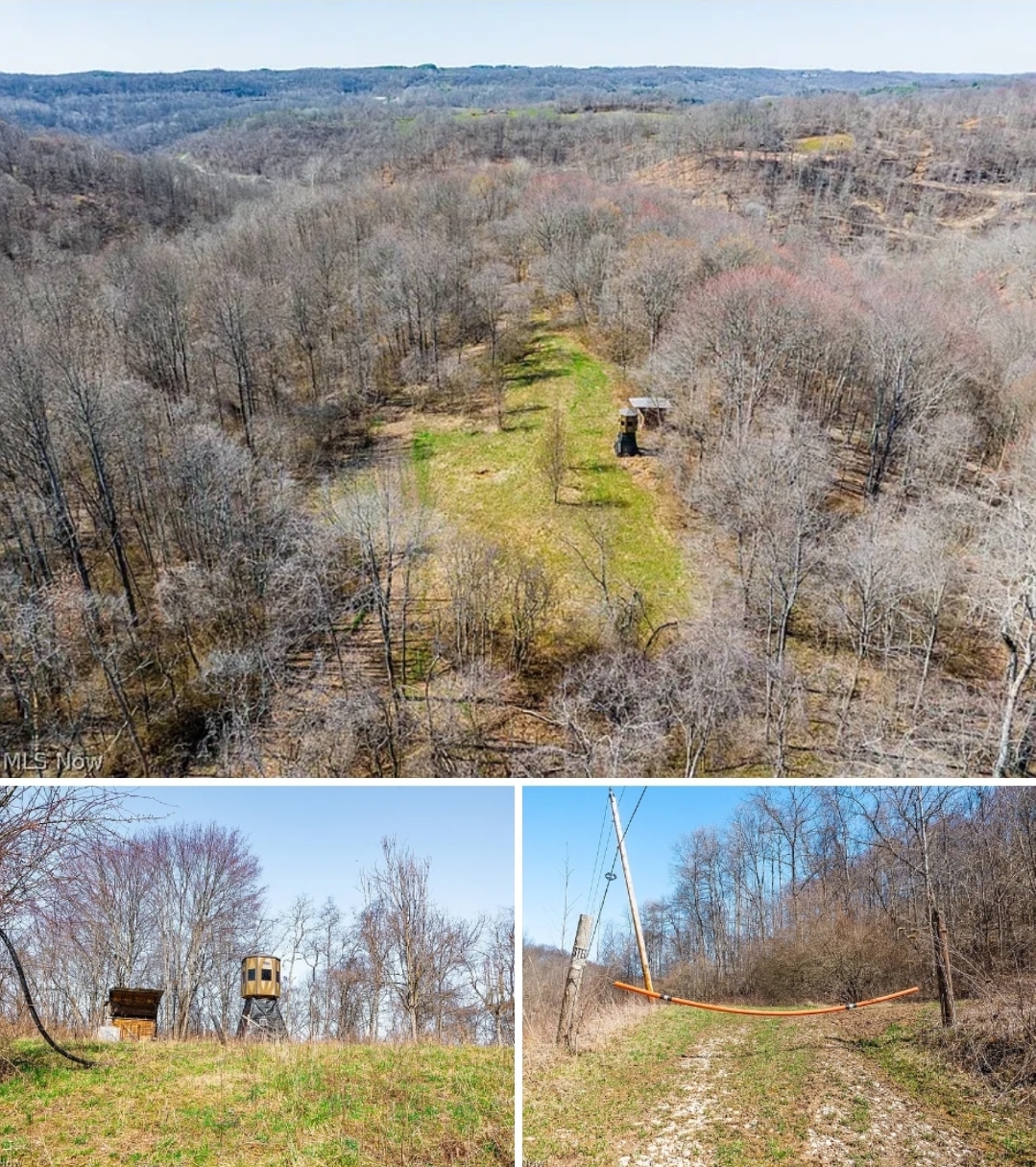 47.34 Acres Hunting Land with Trails, Creek, Food Plot & Build Site