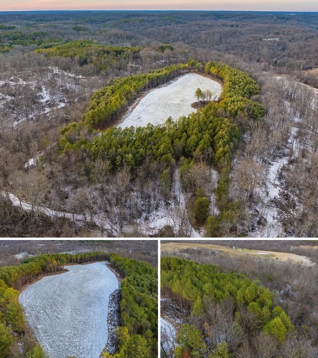 138.86 Acres Elite Hunting Property with Habitat Design, Trails & Trophy Potential
