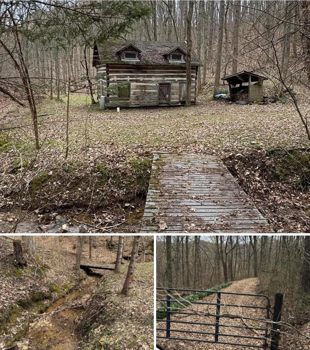 76.97 Acres Scenic Woodland Retreat with Cabin, Stream & Development Potential