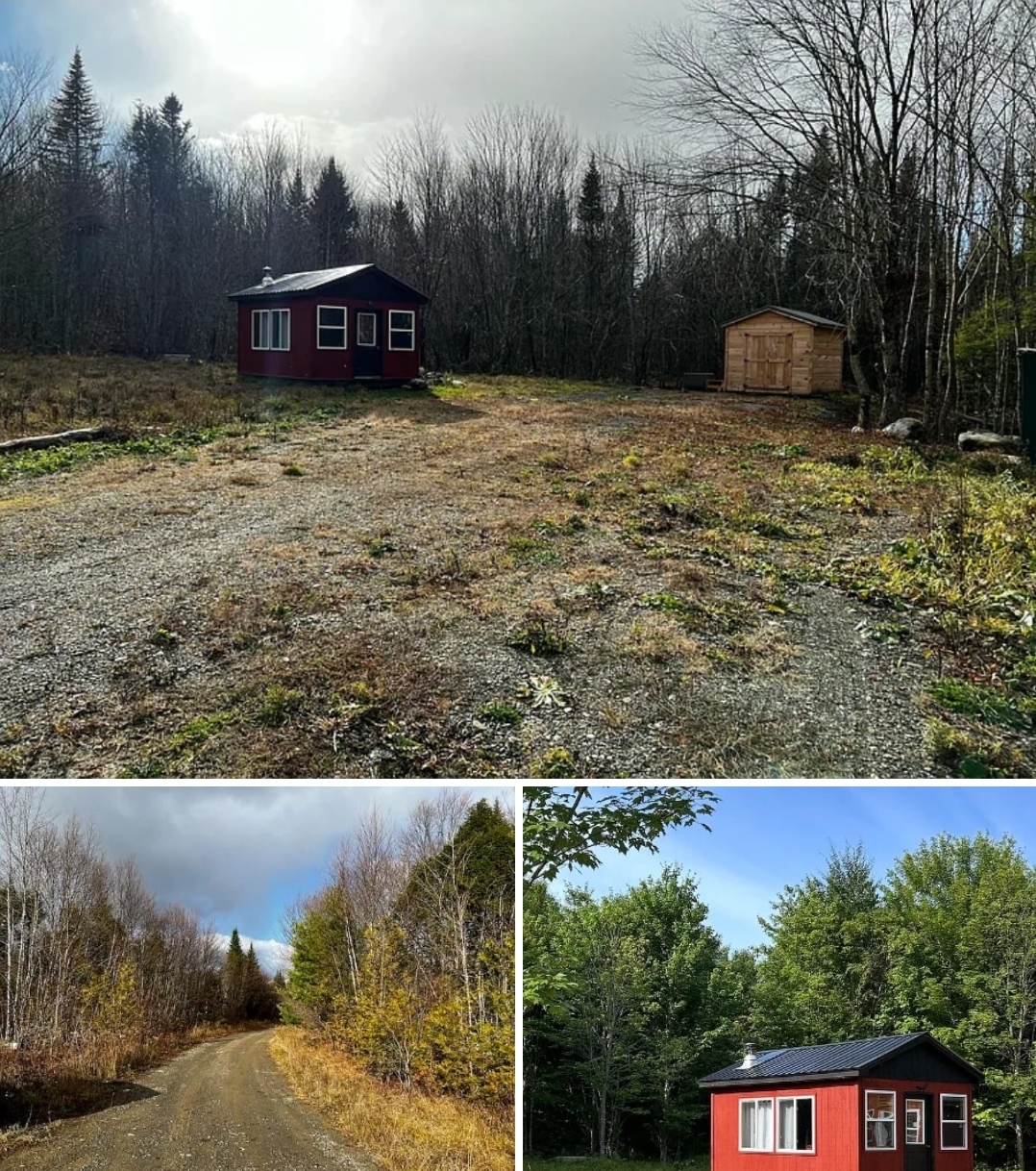 Off-Grid Cabin on 15 Acres with Hunting Land & Homestead Potential