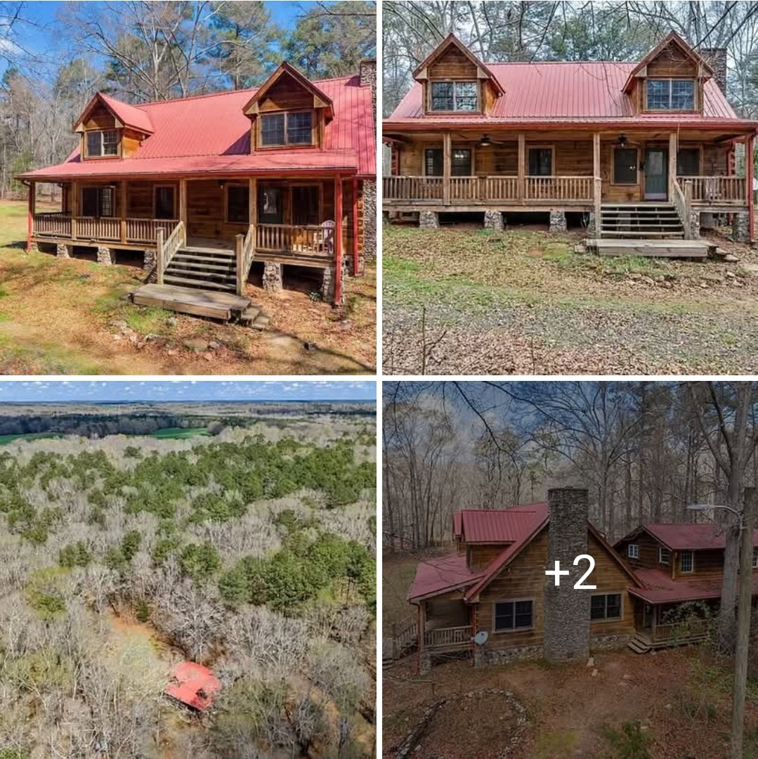 13.51 Acre Log Cabin Estate with Privacy, Views & Investment Potential