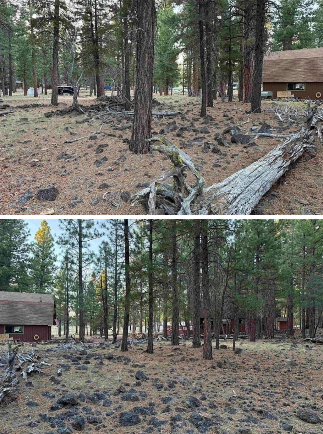 Hidden Gem Wooded Lot – Perfect Cabin Escape