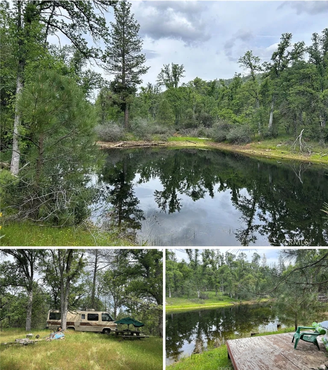 Private Retreat with Pond, Creek & Scenic Homesite