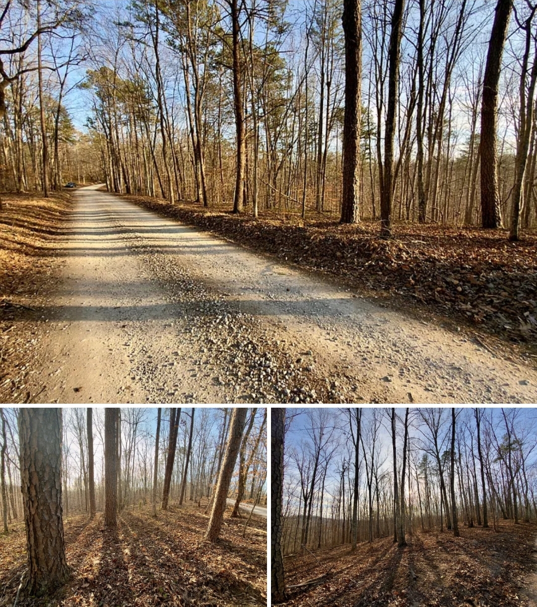 Wooded Land Opportunity with Road Frontage, Utility Access & Recreation Nearby
