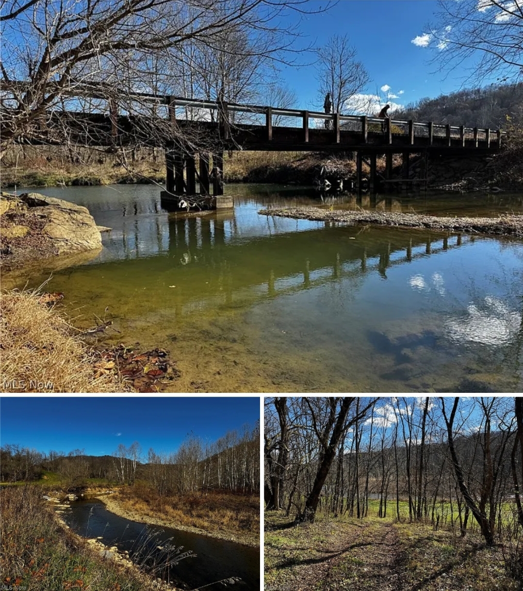 Expansive 134+ Acre Recreational Land with Creek, Wildlife & Investment Potential
